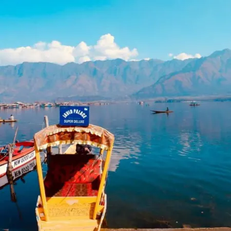 Golden Crest Dallake
