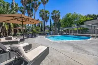 Prodigy Hotel, a Days Inn by Wyndham - piscine