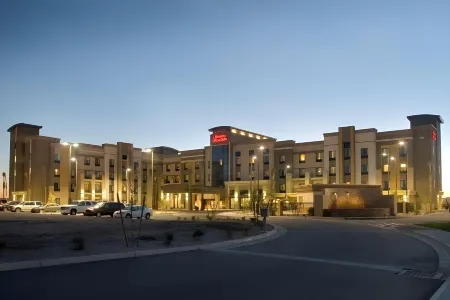 希爾頓歡朋套房酒店-菲尼克斯城格蘭岱爾/韋斯特蓋特