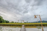 Nornnadubua Nornnadubua