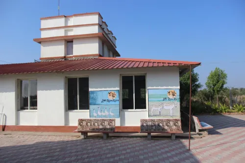 Little Rann Resort Hotels in Surendranagar