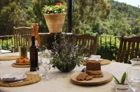 Finca Bell-Lloc - Desayuno