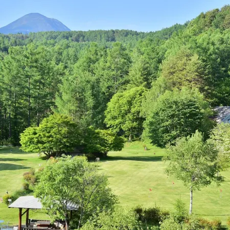Tateshina Park Hotel