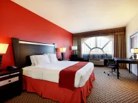 Holiday Inn Express & Suites ODESSA by IHG Hotels in Ector County