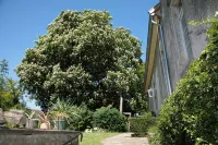 Haus Keppelborg: ZI Rosina Mit Burggartenblick Hotels in Heek
