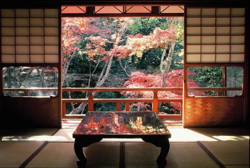 Iwaso - parkir