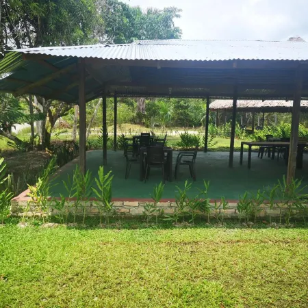 Glamping Amazonas