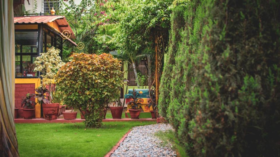 Galaxy Guest House