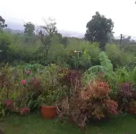 Joglo Exotico Hotel a Bumiaji
