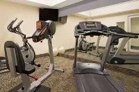 Microtel Inn & Suites by Wyndham Brooksville - Gym