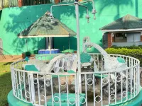 Palm Springs Hotel Masaka Hotels in Masaka