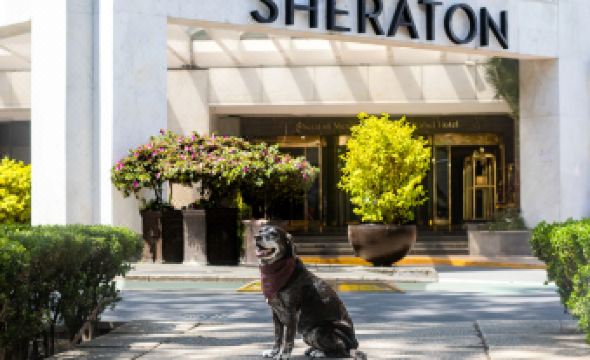 Sheraton Maria Isabel Mexico City Reforma