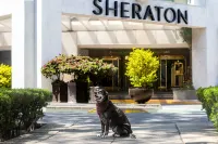 Sheraton Maria Isabel Mexico City Reforma 멕시코시티 호텔