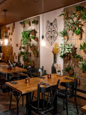 Wolf Hotel Kitchen & Bar Отели в г. Алкмар