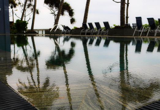 얼스 리젠트 네곰보