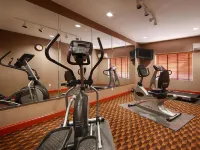 Country Inn & Suites by Radisson, Canton, GA - Træningscentre