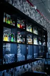 Forum Plaza Hotel - bar