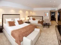 Orion Hotel Hotels in Vladimir