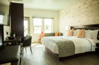 芬恩飯店，希爾頓啟繽精選