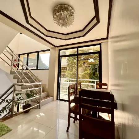 Alocasia Hostel