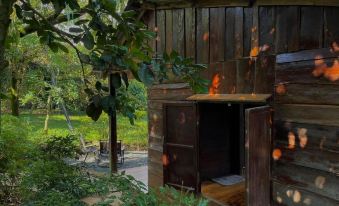 Homestay Vuon Trai Cay Nhiet Doi VO UU Garden