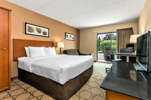 Comfort Inn