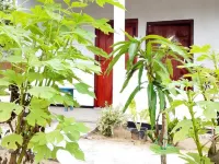 FR Resort Arugambay Hotels in Arugam