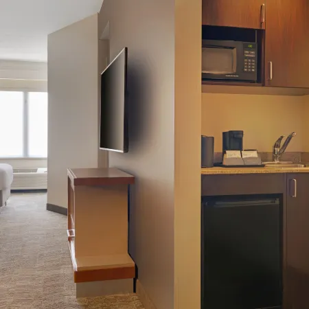 SpringHill Suites by Marriott Newark International Airport