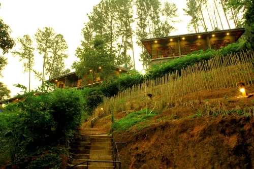Rowinrich Cottages