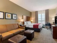 Comfort Inn & Suites Northeast - Gateway Hotels near Enclave at St. Petersburg
