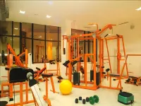 Hotel Dsf Grand Plaza - Gym