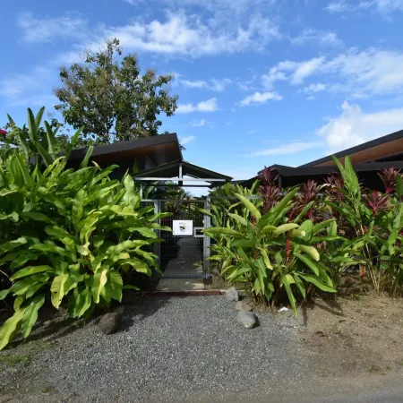 Raya