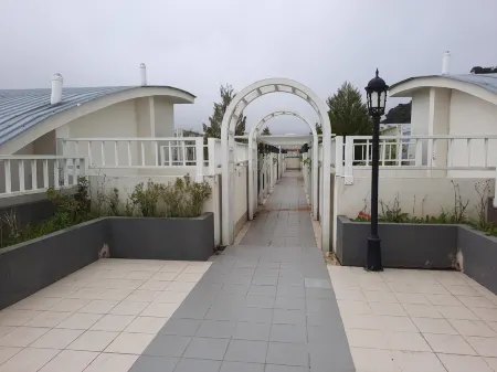 Lily Homestay Barrington Square Cameron Highlands. Отели рядом с достопримечательностью «Kea Farm»