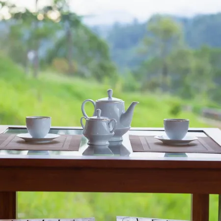 Dowa Elegance Resort