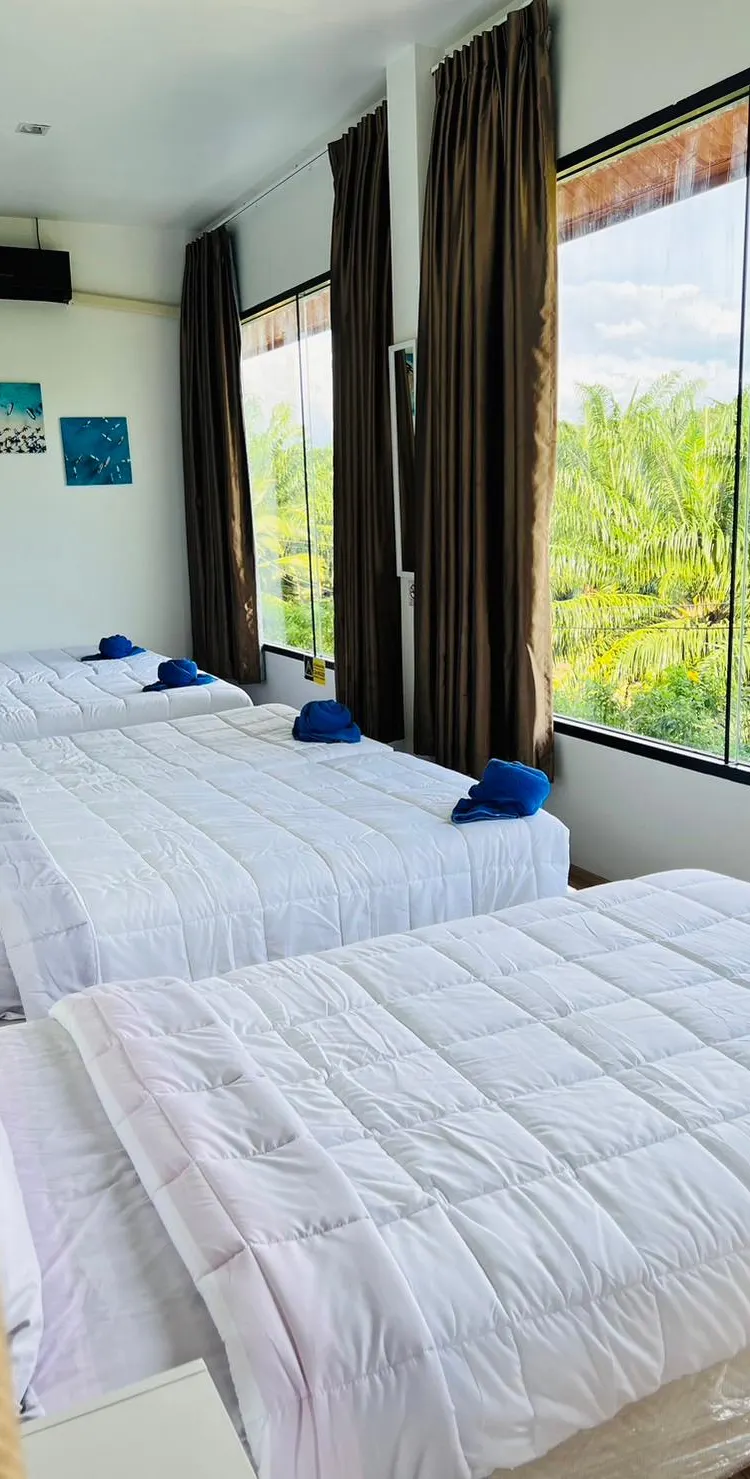 6 Bed Dormitory Room-Shared Communal Bathroom