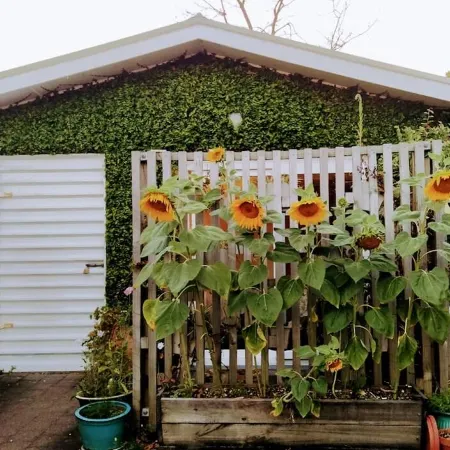 The Gully Hideaway apartment