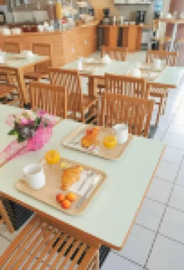 Séjours & Affaires Tours Léonard de Vinci