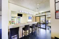 Raintree Motel - bar