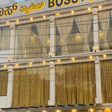 Hotel Boss Palace