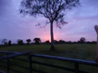 Thirumalai Park - วิว