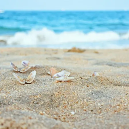 Melheim Beach Kalpitiya