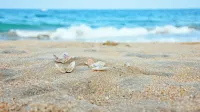 Melheim Beach Kalpitiya - Ocean View