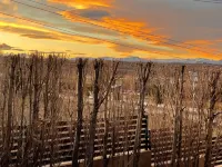 South Apartments Calafate