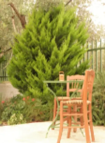 Ampoulos Rooms & Apartments