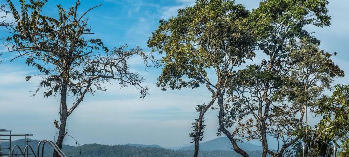 The Porcupine Castle Resort Hotels in Kodagu