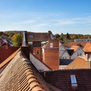 Wertschätzer II - Unter der Wehme