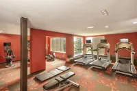 Courtyard Waterloo St. Jacobs - Gym