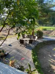 Lotus 2 Guest House - キッチン