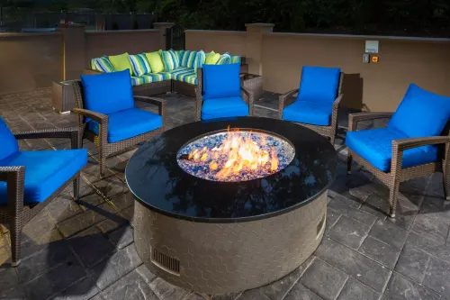 Holiday Inn Express & Suites Brevard – City Center 公共區域 Photos