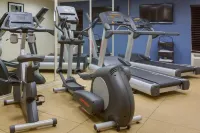 Holiday Inn Express HUNT VALLEY by IHG - Gym